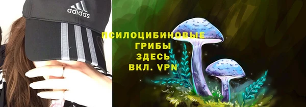 мдпв Покачи